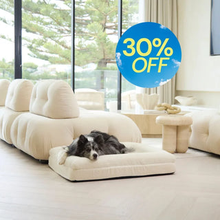 Memory Foam Dog Bed - Boucle Ivory Bouclé