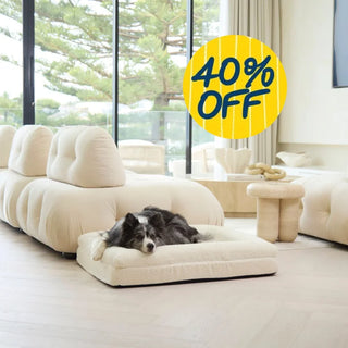 Memory Foam Dog Bed - Boucle Ivory Bouclé