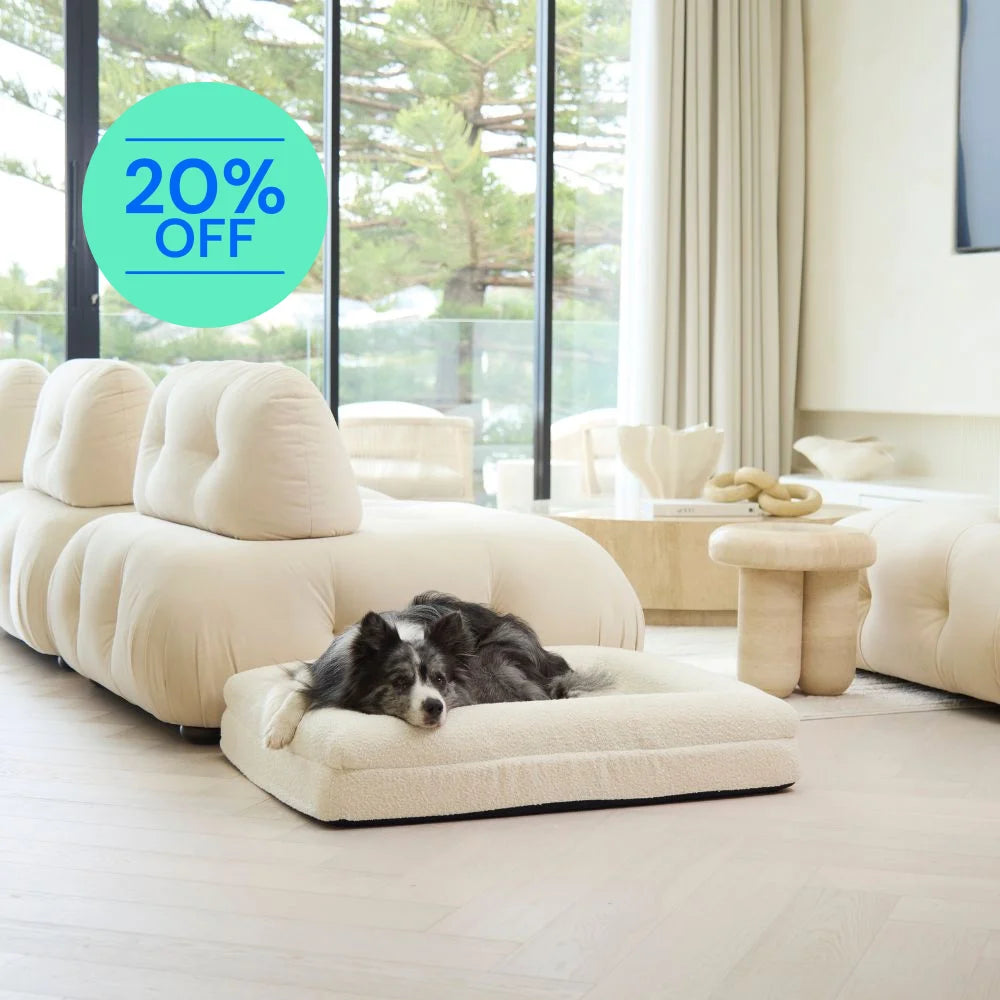 Memory Foam Dog Bed - Boucle Ivory Bouclé