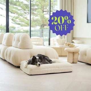Memory Foam Dog Bed - Boucle Ivory Bouclé