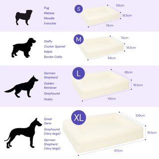 Memory Foam Dog Bed - Bouclé Ivory - Bouclé