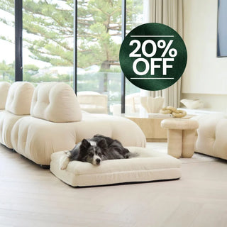 Memory Foam Dog Bed - Boucle Ivory Bouclé