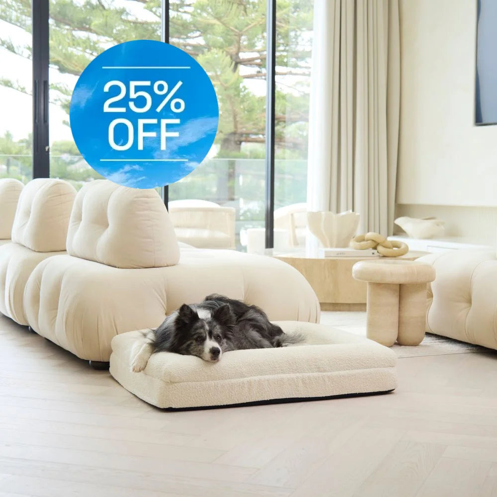 Memory Foam Dog Bed - Boucle Ivory Bouclé