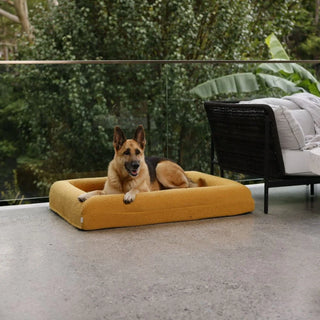 Memory Foam Dog Bed - Boucle Mustard Bouclé