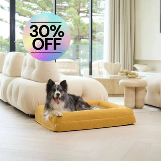 Memory Foam Dog Bed - Boucle Mustard Bouclé