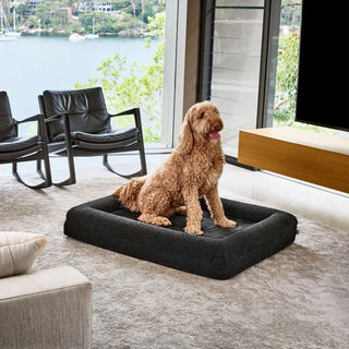 Memory Foam Dog Bed - Boucle Nero Bouclé