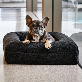 Memory Foam Dog Bed - Boucle Nero Bouclé