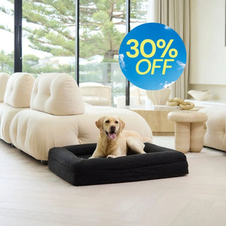 Memory Foam Dog Bed - Boucle Nero Bouclé