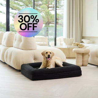 Memory Foam Dog Bed - Boucle Nero Bouclé