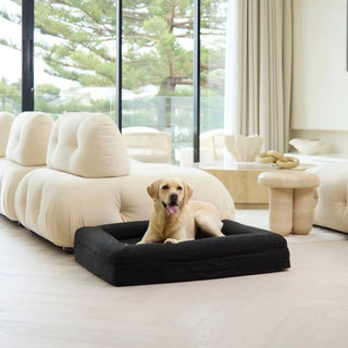 Memory Foam Dog Bed - Boucle Nero Bouclé