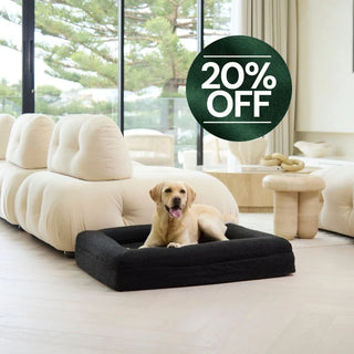 Memory Foam Dog Bed - Boucle Nero Bouclé