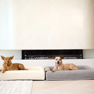 Memory Foam Dog Bed - Boucle Pebble Bouclé