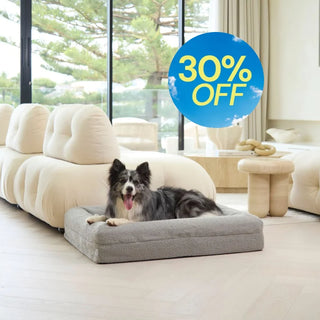 Memory Foam Dog Bed - Boucle Pebble Bouclé