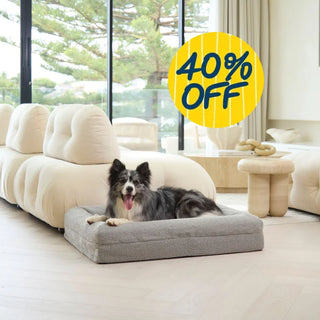 Memory Foam Dog Bed - Boucle Pebble Bouclé