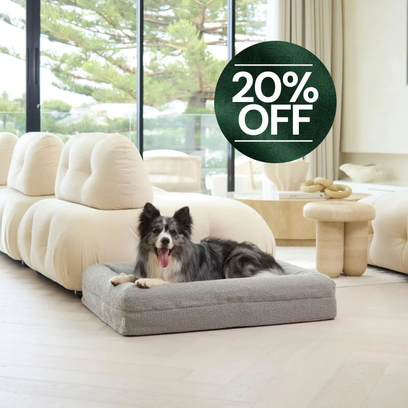 Memory Foam Dog Bed - Boucle Pebble Bouclé