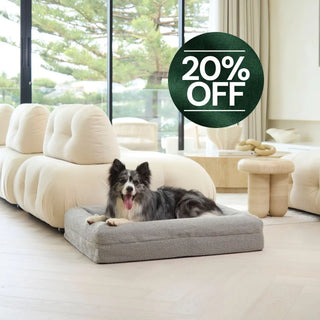 Memory Foam Dog Bed - Boucle Pebble Bouclé