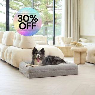 Memory Foam Dog Bed - Boucle Pebble Bouclé