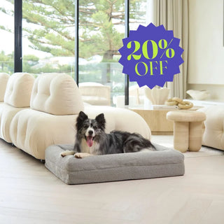 Memory Foam Dog Bed - Boucle Pebble Bouclé