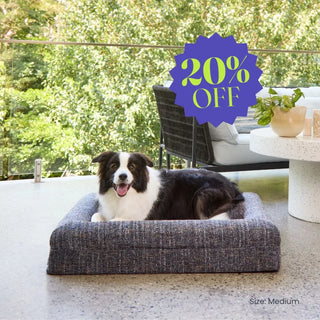 Memory Foam Dog Bed - Bouclé Speckle Blue Bouclé
