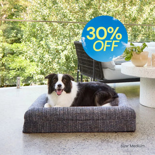 Memory Foam Dog Bed - Bouclé Speckle Blue Bouclé