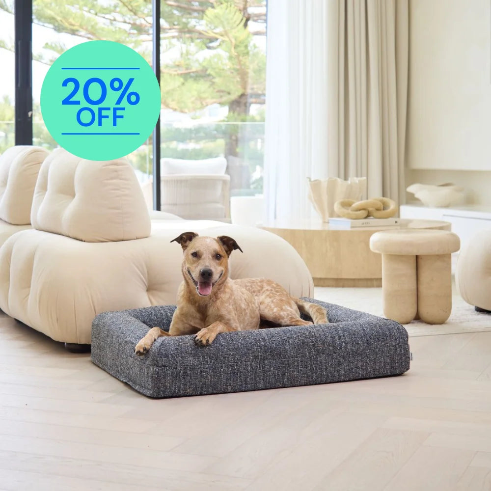 Memory Foam Dog Bed - Boucle Speckle Blue Bouclé