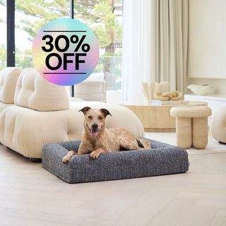 Memory Foam Dog Bed - Boucle Speckle Blue Bouclé