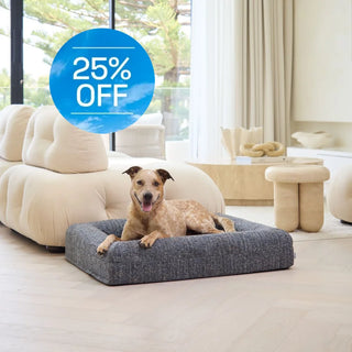 Memory Foam Dog Bed - Boucle Speckle Blue Bouclé