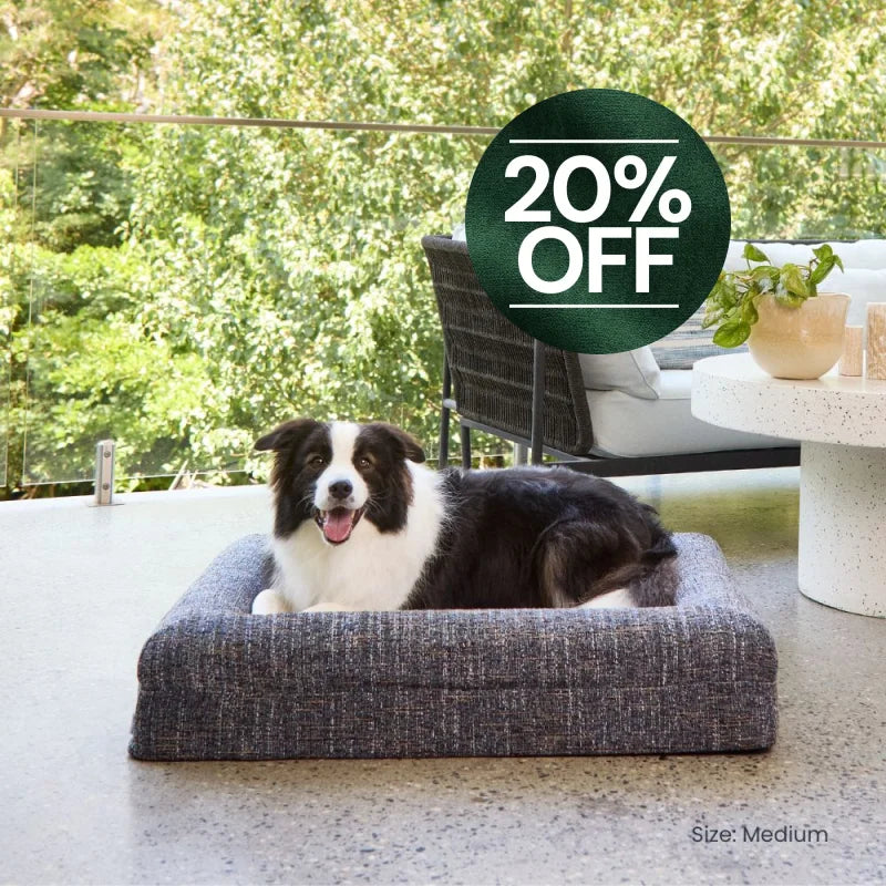 Memory Foam Dog Bed - Bouclé Speckle Blue Bouclé