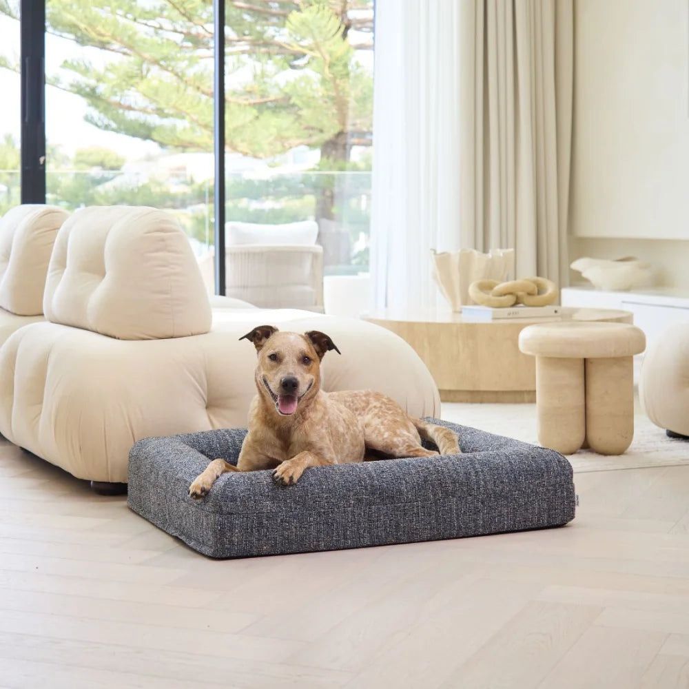Memory Foam Dog Bed - Boucle Speckle Blue Bouclé