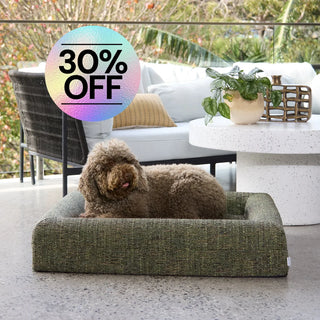 Memory Foam Dog Bed Boucle Speckle Green Bouclé