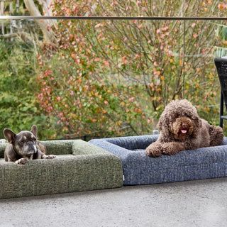 Memory Foam Dog Bed - Boucle Speckle Green Bouclé