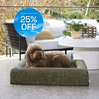 Memory Foam Dog Bed Boucle Speckle Green Bouclé