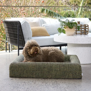 Memory Foam Dog Bed Boucle Speckle Green Bouclé