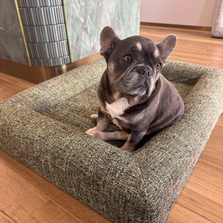 Dazy Dog Speckle Boucle Green Dog Bed