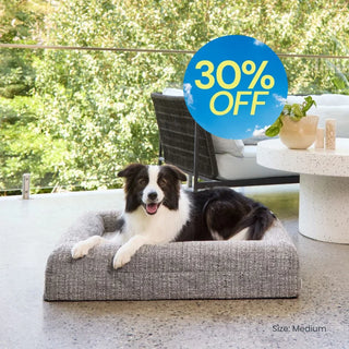 Memory Foam Dog Bed - Bouclé Speckle Mono Bouclé