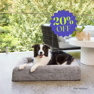 Memory Foam Dog Bed - Bouclé Speckle Mono Bouclé