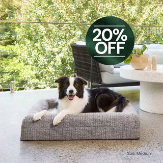 Memory Foam Dog Bed - Bouclé Speckle Mono Bouclé