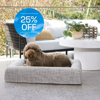 Memory Foam Dog Bed Boucle Speckle Mono Bouclé