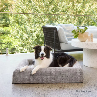 Memory Foam Dog Bed - Bouclé Speckle Mono Bouclé