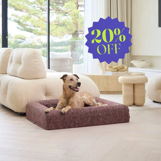 Memory Foam Dog Bed - Boucle Speckle Red Bouclé