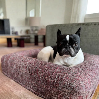 Memory Foam Dog Bed - Bouclé Speckle Red Bouclé