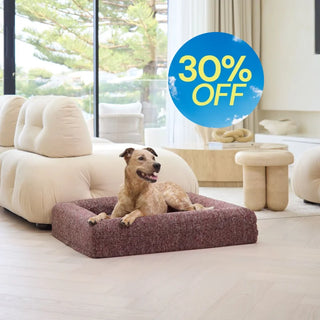 Memory Foam Dog Bed - Boucle Speckle Red Bouclé
