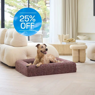 Memory Foam Dog Bed - Boucle Speckle Red Bouclé