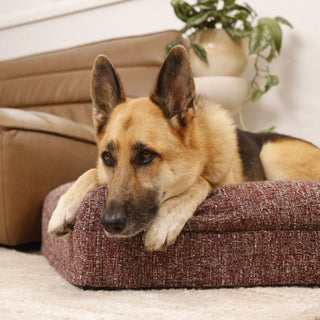 Memory Foam Dog Bed - Boucle Speckle Red Bouclé