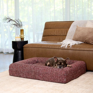 Memory Foam Dog Bed - Boucle Speckle Red Bouclé