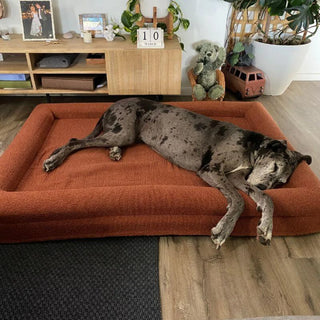 Memory Foam Dog Bed - Boucle Terracotta Bouclé