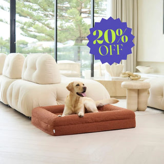 Memory Foam Dog Bed - Boucle Terracotta Bouclé