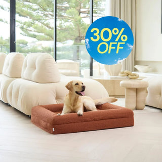Memory Foam Dog Bed - Boucle Terracotta Bouclé