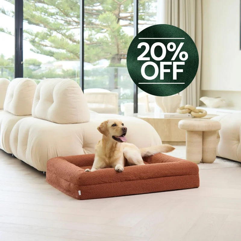 Memory Foam Dog Bed - Boucle Terracotta Bouclé