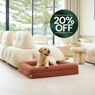 Memory Foam Dog Bed - Boucle Terracotta Bouclé